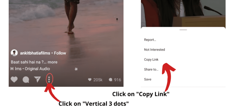 how to download Instagram Reels video online