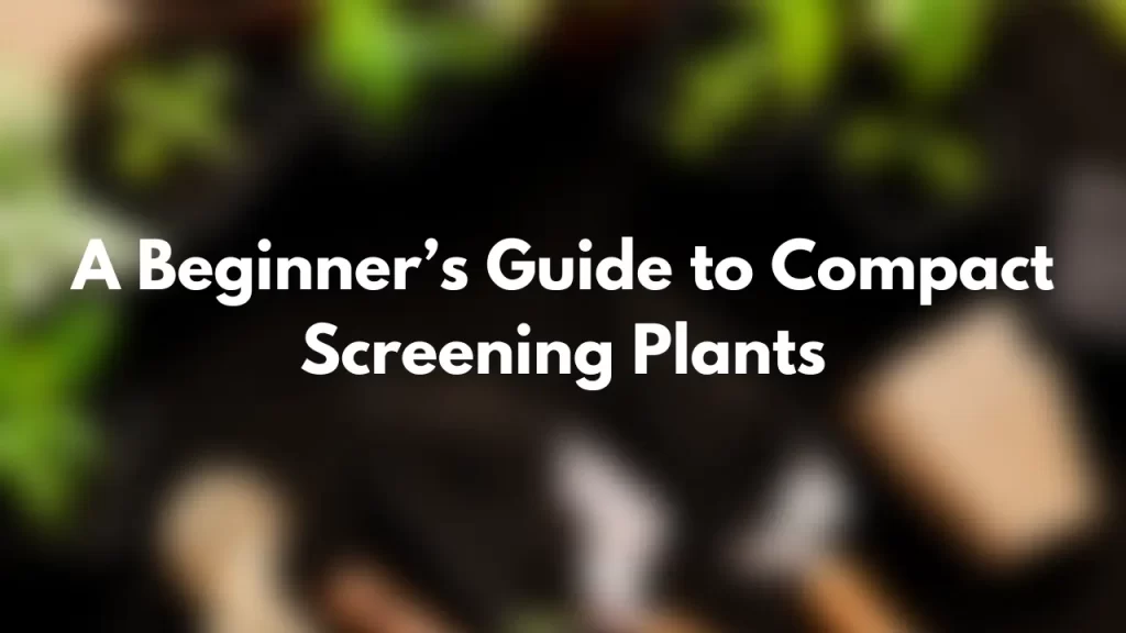 Compact Screening Plants